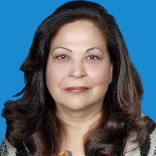 Shaheen-Salahuddin